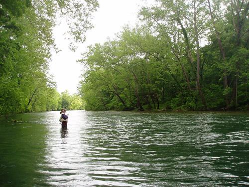 A River in the Ozarks - June 2, 2009
