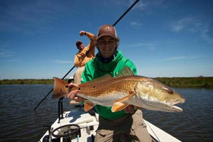 Louisiana Coast